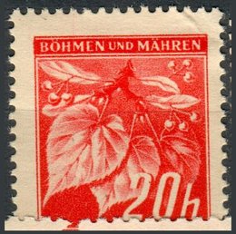 No. 24
