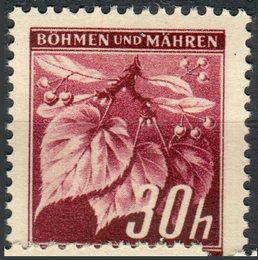 No. 26
