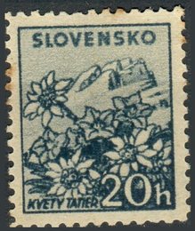 No. 81